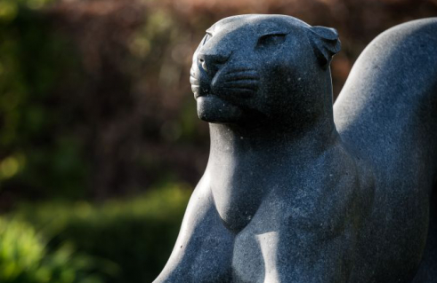 Fritz Behn, Panther (Foto: Jörg Schwarze)